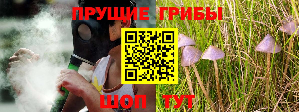 Псилоцибиновые грибы мицелий Холмск